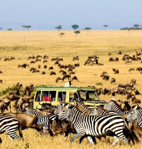 Serengeti-National-Park-Safari-8-Days-02