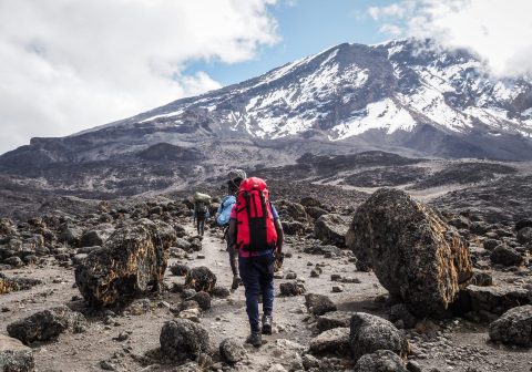 kilimanjaro_tanzania-17-min-scaled kilimanjaro_tanzania-17-min-scaled